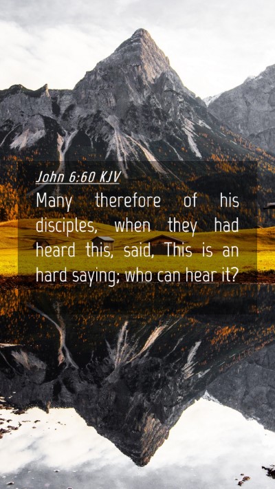 Picture 04 - John 6:60 KJV Mobile Phone Wallpaper - Many therefore of his disciples, when they had - Mobile Bible Verse Wallpaper