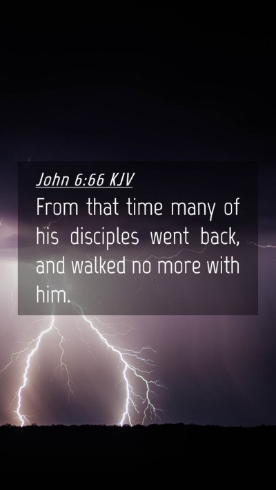 Picture 04 - John 6:66 KJV Mobile Phone Wallpaper - From that time many of his disciples went back, - Mobile Bible Verse Wallpaper