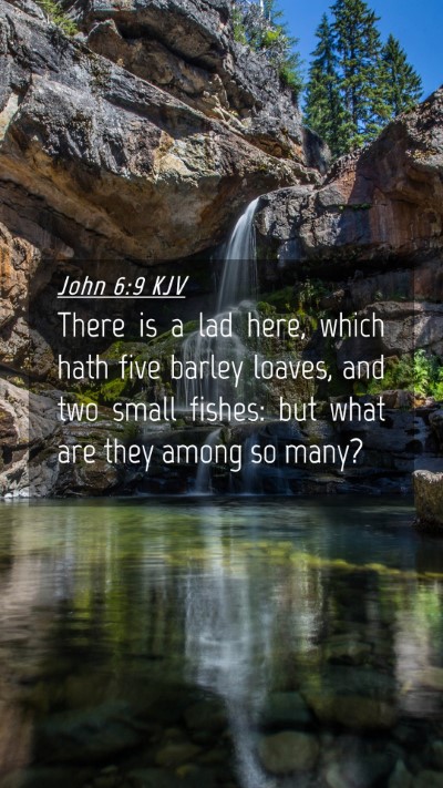 Picture 04 - John 6:9 KJV Mobile Phone Wallpaper - There is a lad here, which hath five barley - Mobile Bible Verse Wallpaper