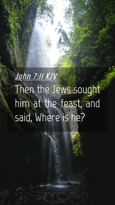 Picture 04 - John 7:11 KJV Mobile Phone Wallpaper - Then the Jews sought him at the feast, and said, - Mobile Bible Verse Wallpaper