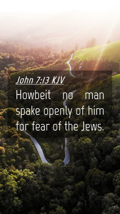 Picture 04 - John 7:13 KJV Mobile Phone Wallpaper - Howbeit no man spake openly of him for fear of - Mobile Bible Verse Wallpaper