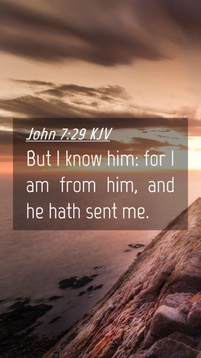 Picture 04 - John 7:29 KJV Mobile Phone Wallpaper - But I know him: for I am from him, and he hath - Mobile Bible Verse Wallpaper