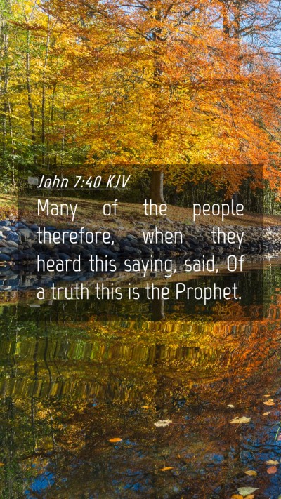Picture 04 - John 7:40 KJV Mobile Phone Wallpaper - Many of the people therefore, when they heard - Mobile Bible Verse Wallpaper