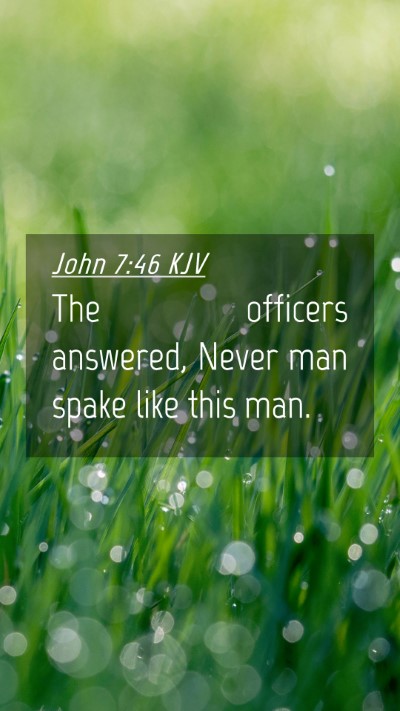 Picture 04 - John 7:46 KJV Mobile Phone Wallpaper - The officers answered, Never man spake like this - Mobile Bible Verse Wallpaper
