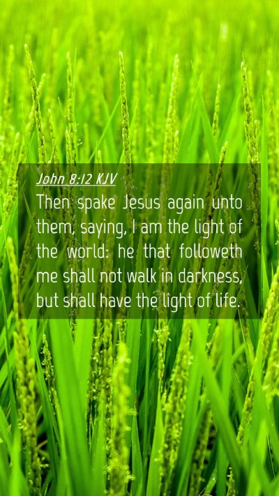 Picture 04 - John 8:12 KJV Mobile Phone Wallpaper - Then spake Jesus again unto them, saying, I am - Mobile Bible Verse Wallpaper