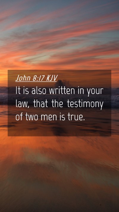 Picture 04 - John 8:17 KJV Mobile Phone Wallpaper - It is also written in your law, that the - Mobile Bible Verse Wallpaper