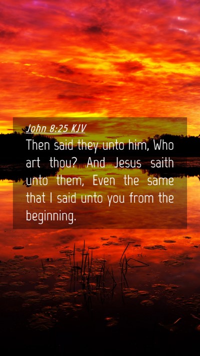 Picture 04 - John 8:25 KJV Mobile Phone Wallpaper - Then said they unto him, Who art thou? And Jesus - Mobile Bible Verse Wallpaper