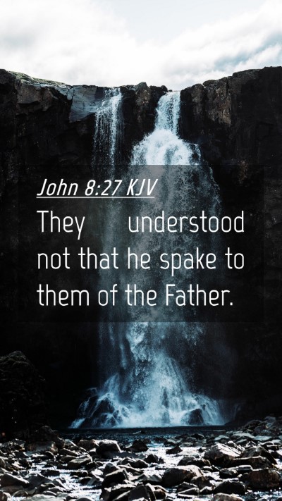 Picture 04 - John 8:27 KJV Mobile Phone Wallpaper - They understood not that he spake to them of the - Mobile Bible Verse Wallpaper