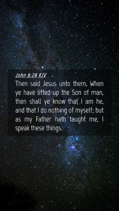 Picture 04 - John 8:28 KJV Mobile Phone Wallpaper - Then said Jesus unto them, When ye have lifted up - Mobile Bible Verse Wallpaper