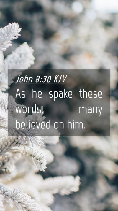 Picture 04 - John 8:30 KJV Mobile Phone Wallpaper - As he spake these words, many believed on - Mobile Bible Verse Wallpaper