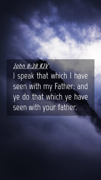Picture 04 - John 8:38 KJV Mobile Phone Wallpaper - I speak that which I have seen with my Father: - Mobile Bible Verse Wallpaper