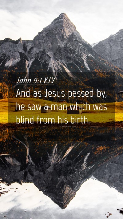 Picture 04 - John 9:1 KJV Mobile Phone Wallpaper - And as Jesus passed by, he saw a man which was - Mobile Bible Verse Wallpaper