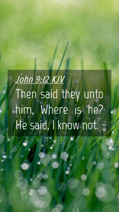Picture 04 - John 9:12 KJV Mobile Phone Wallpaper - Then said they unto him, Where is he? He said, I - Mobile Bible Verse Wallpaper