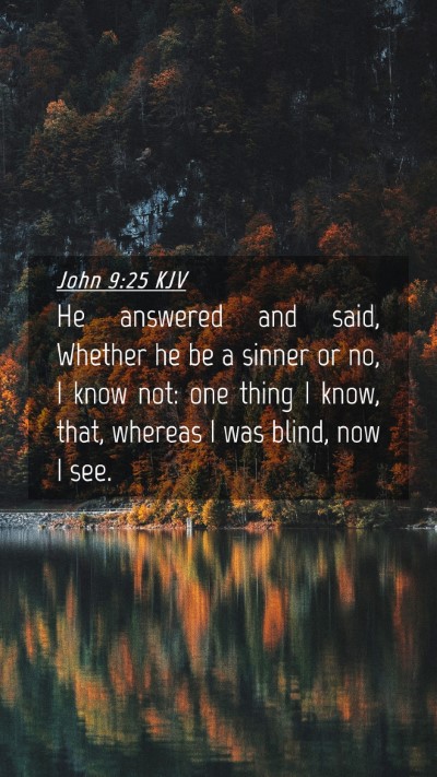 Picture 04 - John 9:25 KJV Mobile Phone Wallpaper - He answered and said, Whether he be a sinner or - Mobile Bible Verse Wallpaper