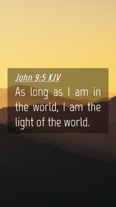Picture 04 - John 9:5 KJV Mobile Phone Wallpaper - As long as I am in the world, I am the light of - Mobile Bible Verse Wallpaper