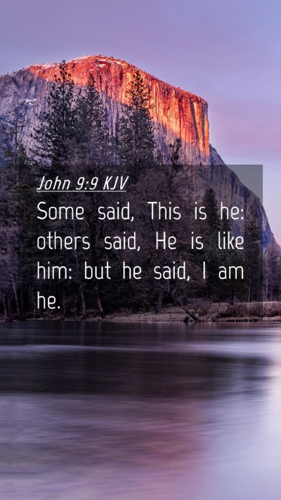 Picture 04 - John 9:9 KJV Mobile Phone Wallpaper - Some said, This is he: others said, He is like - Mobile Bible Verse Wallpaper