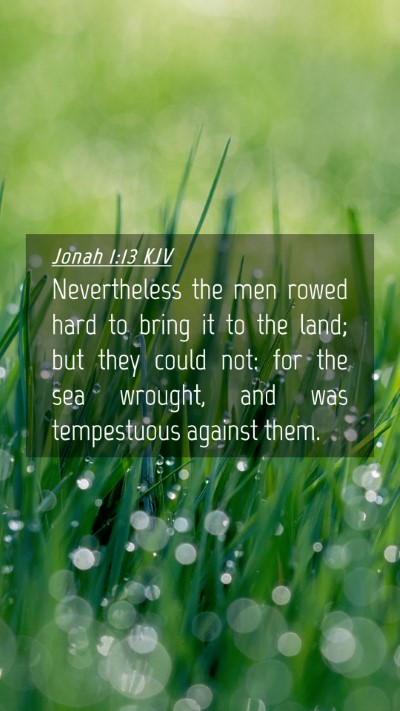 Picture 04 - Jonah 1:13 KJV Mobile Phone Wallpaper - Nevertheless the men rowed hard to bring it to - Mobile Bible Verse Wallpaper