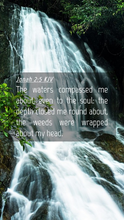 Picture 04 - Jonah 2:5 KJV Mobile Phone Wallpaper - The waters compassed me about, even to the soul: - Mobile Bible Verse Wallpaper