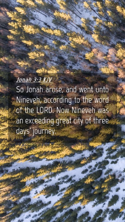 Picture 04 - Jonah 3:3 KJV Mobile Phone Wallpaper - So Jonah arose, and went unto Nineveh, according - Mobile Bible Verse Wallpaper