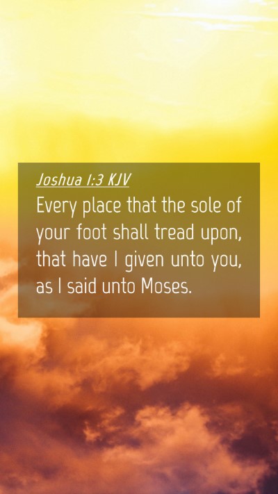 Picture 04 - Joshua 1:3 KJV Mobile Phone Wallpaper - Every place that the sole of your foot shall - Mobile Bible Verse Wallpaper