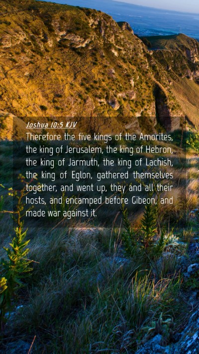 Picture 04 - Joshua 10:5 KJV Mobile Phone Wallpaper - Therefore the five kings of the Amorites, the - Mobile Bible Verse Wallpaper