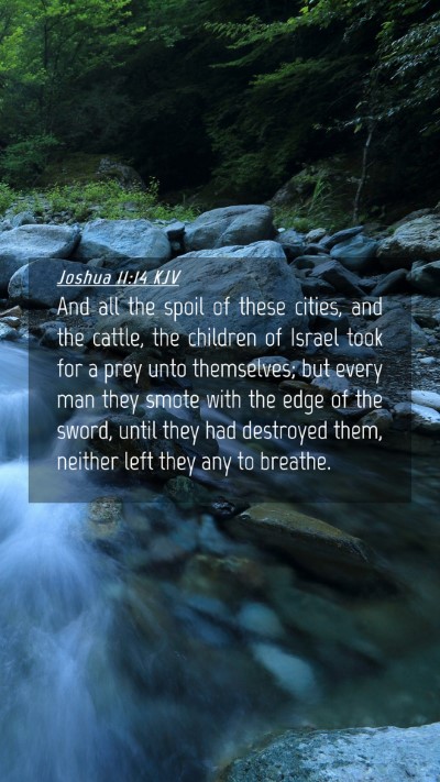 Picture 04 - Joshua 11:14 KJV Mobile Phone Wallpaper - And all the spoil of these cities, and the - Mobile Bible Verse Wallpaper
