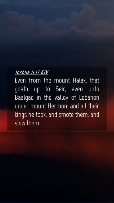 Picture 04 - Joshua 11:17 KJV Mobile Phone Wallpaper - Even from the mount Halak, that goeth up to Seir, - Mobile Bible Verse Wallpaper