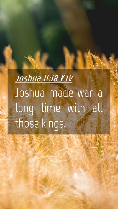 Picture 04 - Joshua 11:18 KJV Mobile Phone Wallpaper - Joshua made war a long time with all those - Mobile Bible Verse Wallpaper