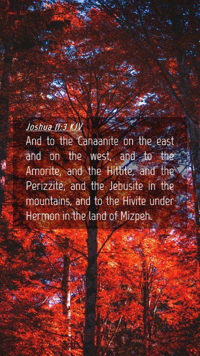 Picture 04 - Joshua 11:3 KJV Mobile Phone Wallpaper - And to the Canaanite on the east and on the west, - Mobile Bible Verse Wallpaper
