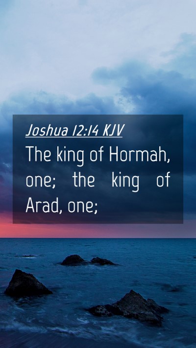 Picture 04 - Joshua 12:14 KJV Mobile Phone Wallpaper - The king of Hormah, one; the king of Arad, - Mobile Bible Verse Wallpaper