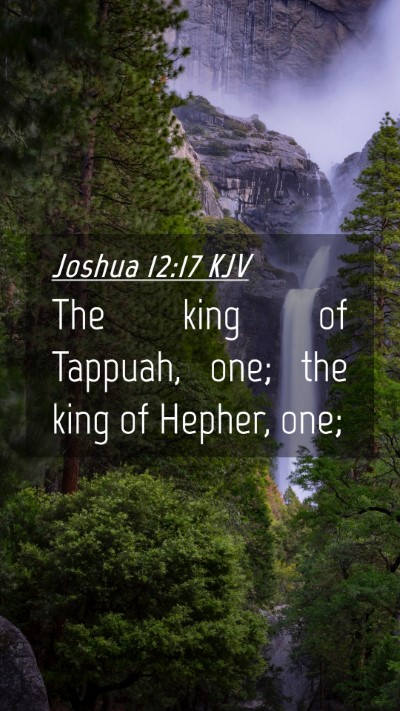 Picture 04 - Joshua 12:17 KJV Mobile Phone Wallpaper - The king of Tappuah, one; the king of Hepher, - Mobile Bible Verse Wallpaper