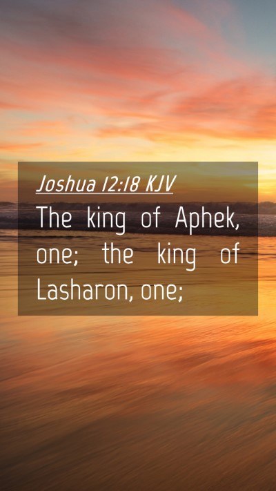 Picture 04 - Joshua 12:18 KJV Mobile Phone Wallpaper - The king of Aphek, one; the king of Lasharon, - Mobile Bible Verse Wallpaper