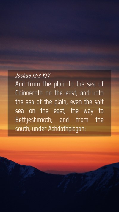 Picture 04 - Joshua 12:3 KJV Mobile Phone Wallpaper - And from the plain to the sea of Chinneroth on - Mobile Bible Verse Wallpaper