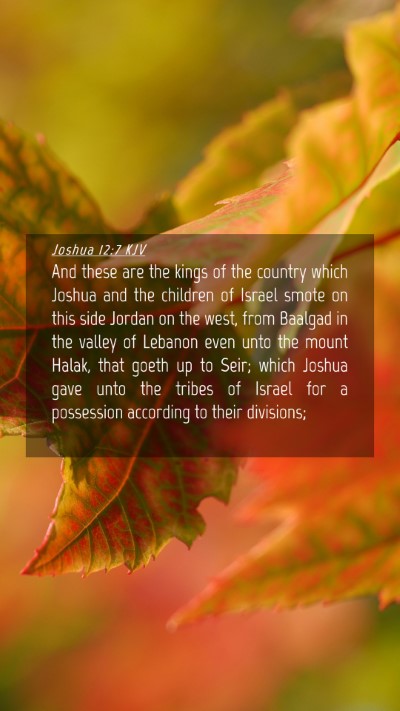 Picture 04 - Joshua 12:7 KJV Mobile Phone Wallpaper - And these are the kings of the country which - Mobile Bible Verse Wallpaper