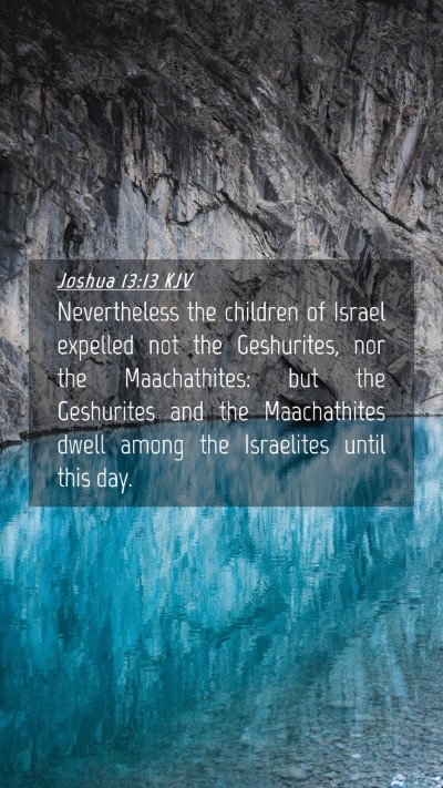 Picture 04 - Joshua 13:13 KJV Mobile Phone Wallpaper - Nevertheless the children of Israel expelled not - Mobile Bible Verse Wallpaper