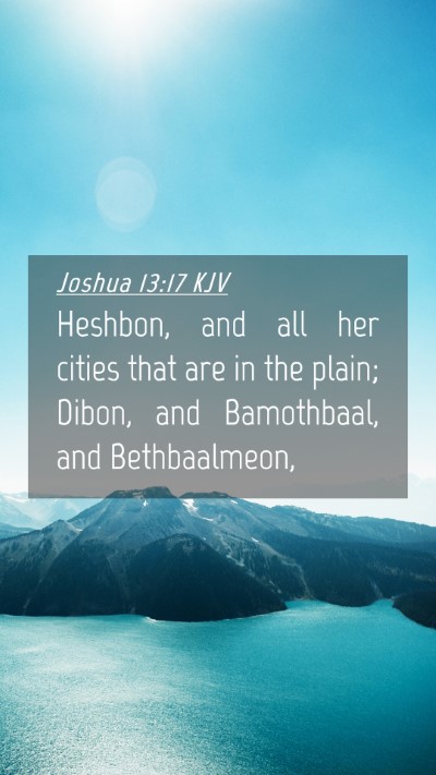 Picture 04 - Joshua 13:17 KJV Mobile Phone Wallpaper - Heshbon, and all her cities that are in the - Mobile Bible Verse Wallpaper