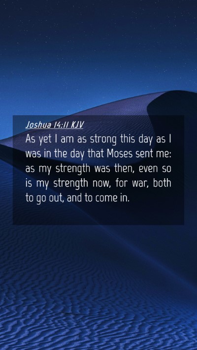 Picture 04 - Joshua 14:11 KJV Mobile Phone Wallpaper - As yet I am as strong this day as I was in the - Mobile Bible Verse Wallpaper