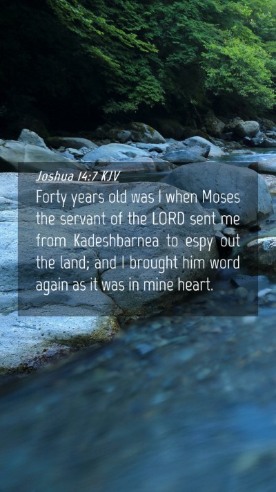 Picture 04 - Joshua 14:7 KJV Mobile Phone Wallpaper - Forty years old was I when Moses the servant of - Mobile Bible Verse Wallpaper