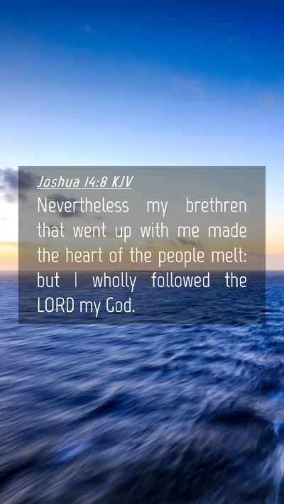 Picture 04 - Joshua 14:8 KJV Mobile Phone Wallpaper - Nevertheless my brethren that went up with me - Mobile Bible Verse Wallpaper