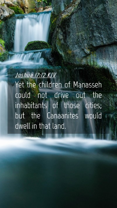 Picture 04 - Joshua 17:12 KJV Mobile Phone Wallpaper - Yet the children of Manasseh could not drive out - Mobile Bible Verse Wallpaper