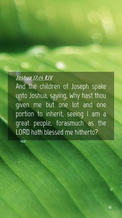 Picture 04 - Joshua 17:14 KJV Mobile Phone Wallpaper - And the children of Joseph spake unto Joshua, - Mobile Bible Verse Wallpaper