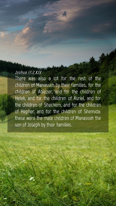 Picture 04 - Joshua 17:2 KJV Mobile Phone Wallpaper - There was also a lot for the rest of the children - Mobile Bible Verse Wallpaper