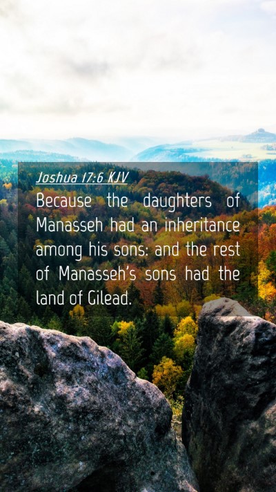 Picture 04 - Joshua 17:6 KJV Mobile Phone Wallpaper - Because the daughters of Manasseh had an - Mobile Bible Verse Wallpaper