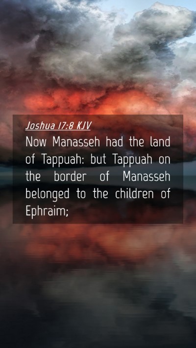 Picture 04 - Joshua 17:8 KJV Mobile Phone Wallpaper - Now Manasseh had the land of Tappuah: but Tappuah - Mobile Bible Verse Wallpaper