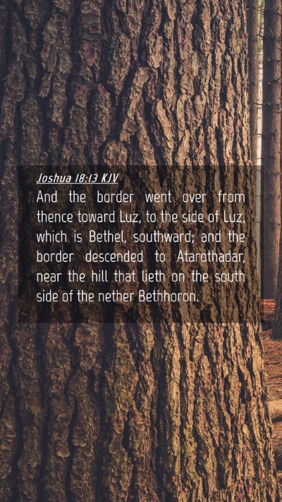 Picture 04 - Joshua 18:13 KJV Mobile Phone Wallpaper - And the border went over from thence toward Luz, - Mobile Bible Verse Wallpaper