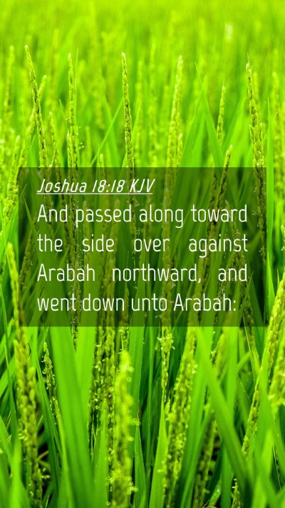 Picture 04 - Joshua 18:18 KJV Mobile Phone Wallpaper - And passed along toward the side over against - Mobile Bible Verse Wallpaper