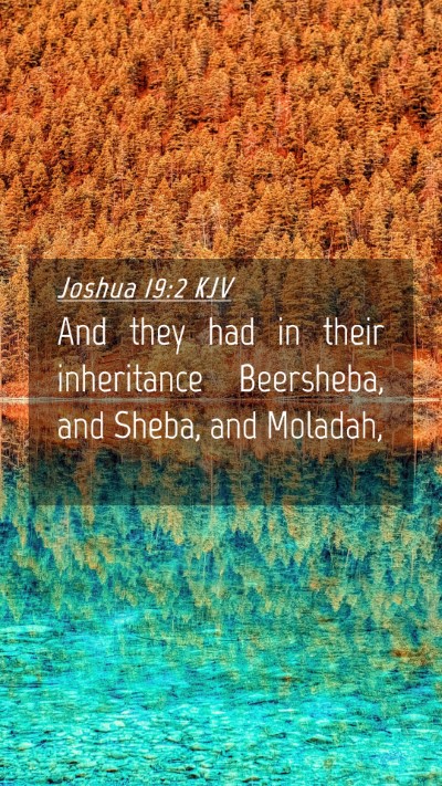Picture 04 - Joshua 19:2 KJV Mobile Phone Wallpaper - And they had in their inheritance Beersheba, and - Mobile Bible Verse Wallpaper