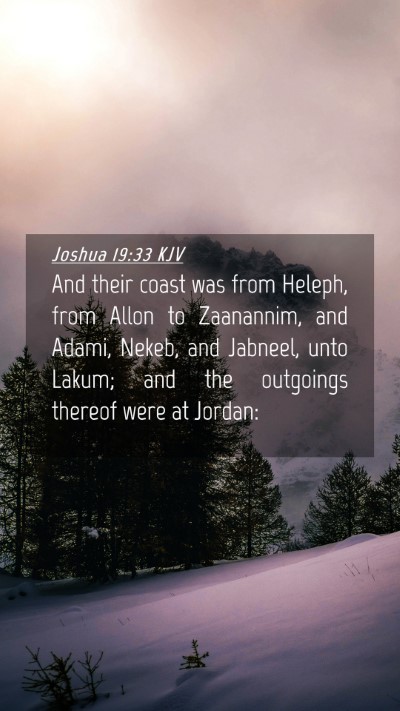 Picture 04 - Joshua 19:33 KJV Mobile Phone Wallpaper - And their coast was from Heleph, from Allon to - Mobile Bible Verse Wallpaper