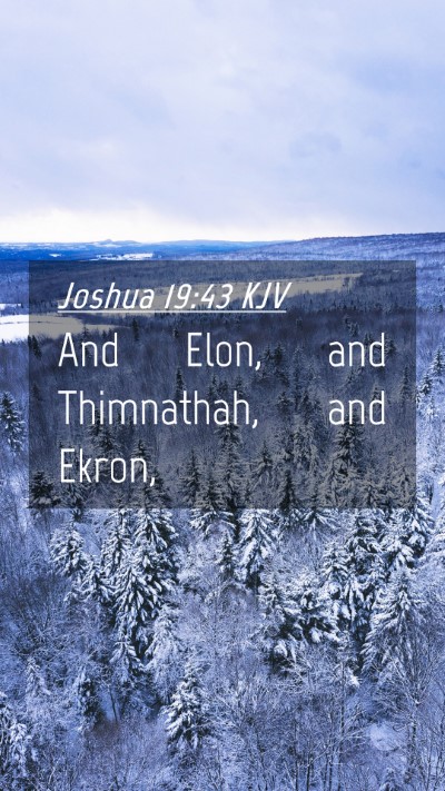 Picture 04 - Joshua 19:43 KJV Mobile Phone Wallpaper - And Elon, and Thimnathah, and - Mobile Bible Verse Wallpaper