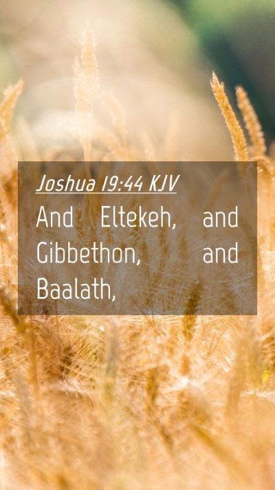 Picture 04 - Joshua 19:44 KJV Mobile Phone Wallpaper - And Eltekeh, and Gibbethon, and - Mobile Bible Verse Wallpaper